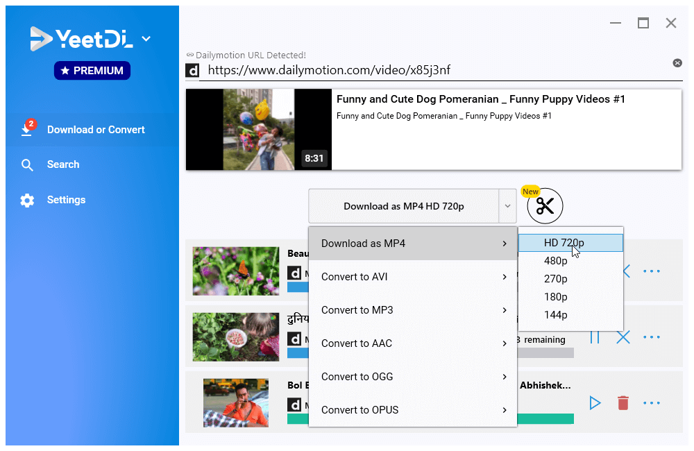 Hakbang 3: Piliin ang Format at I-download