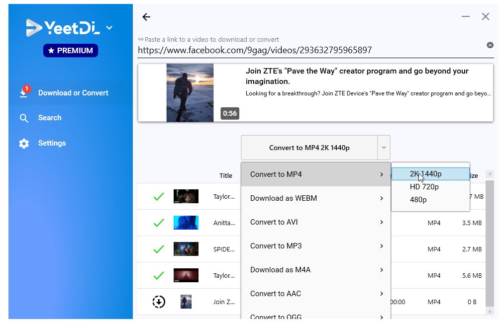 Etapa 3: selecione o formato e faça o download