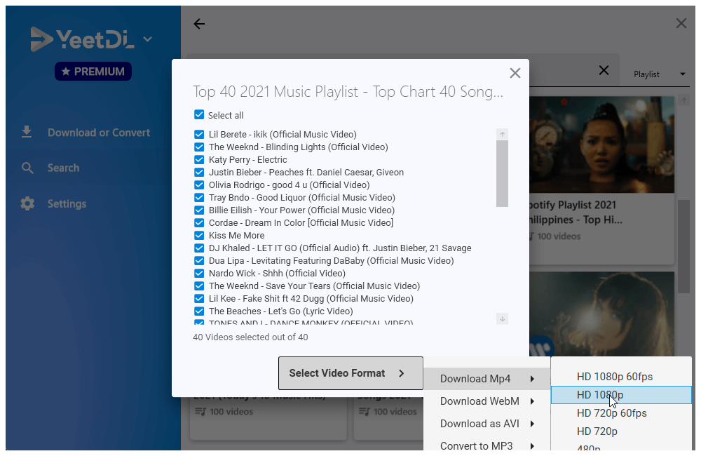 Step 3: Select the Format